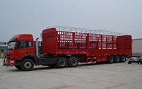 广州至秀山县货运物流专线服务 锦成货运部引领高效运输新标杆